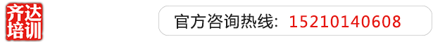 騒逼草逼网站齐达艺考文化课-艺术生文化课,艺术类文化课,艺考生文化课logo